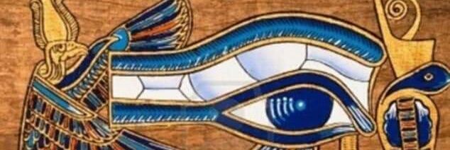 ehabhashem5's profile banner image