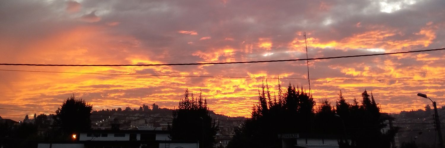 algún ser banner