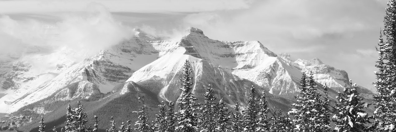 TheKid🇺🇸 banner