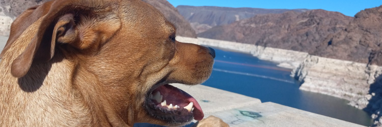 Florida Random Dude banner