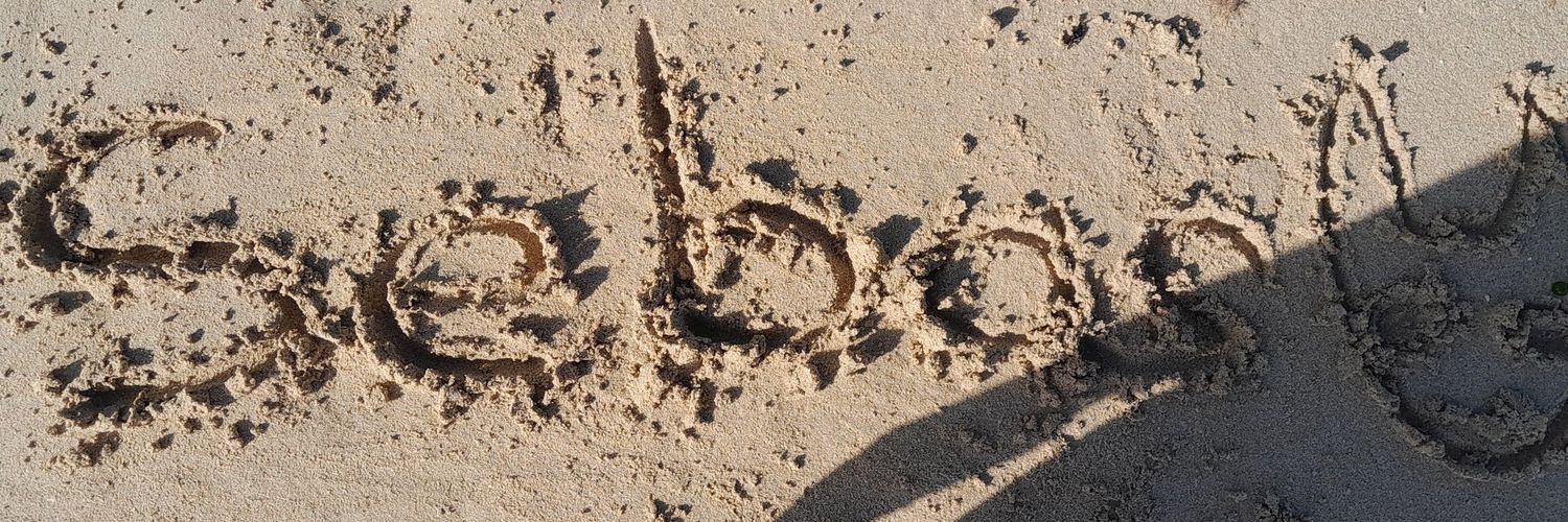 El Seba 🦊 (Ocupado viciando Silksong) banner