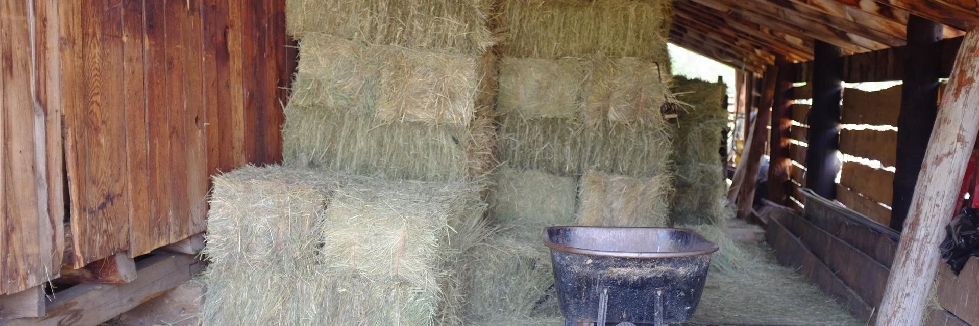 Jose P Eufrasio banner