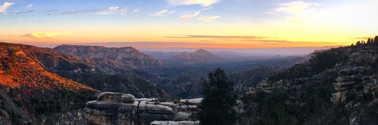 Jeremy Browning banner