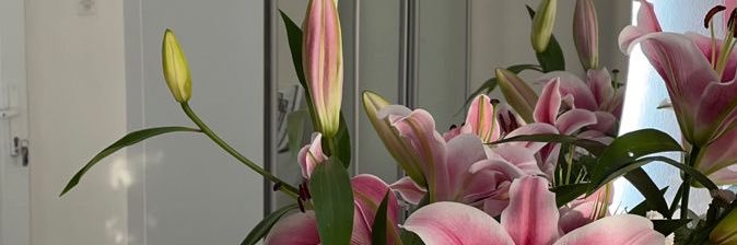 bubuAB123's profile banner image