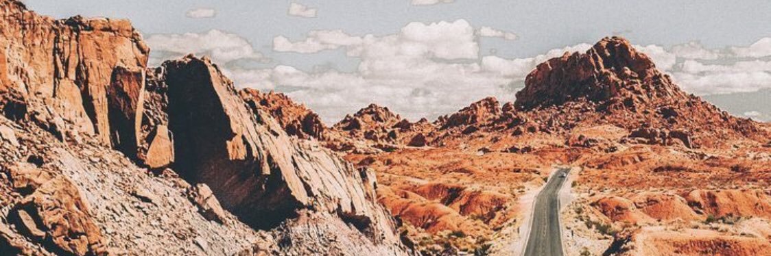 ReneeStapels's profile banner image