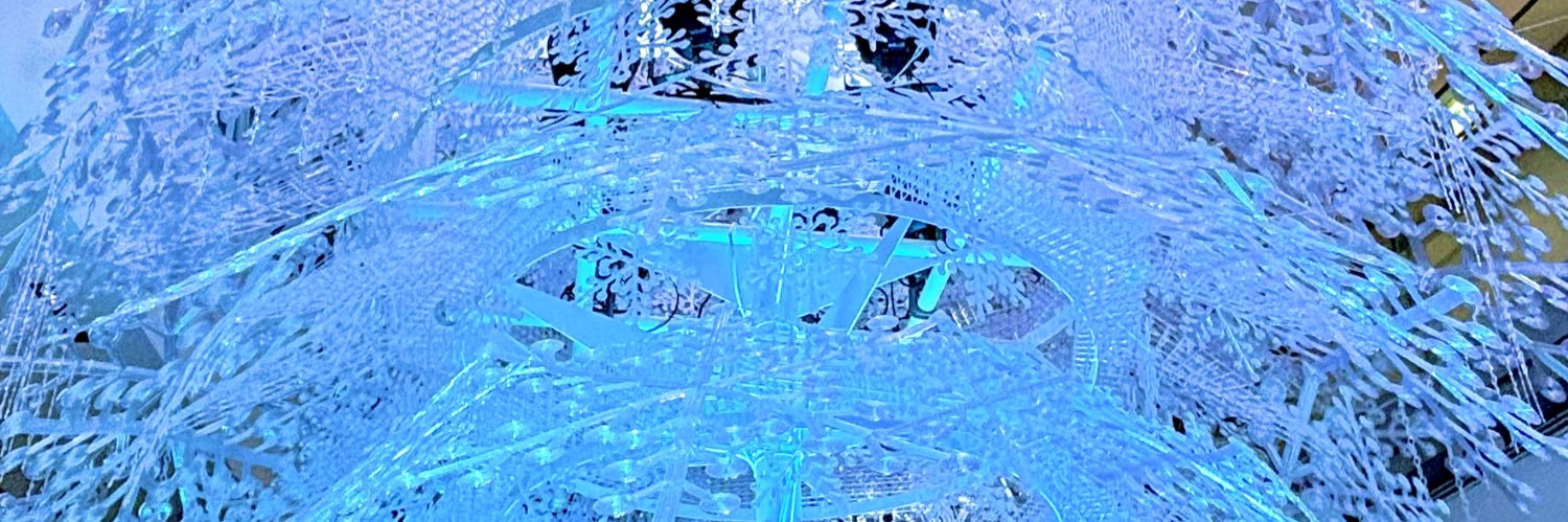 Voisingee's profile banner image