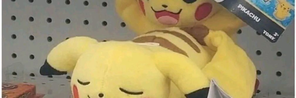 Pupfetch69 banner
