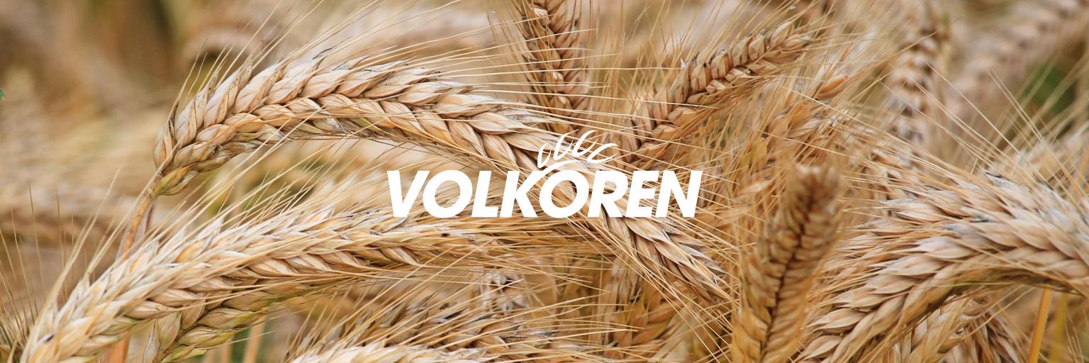 volkoren's profile banner image