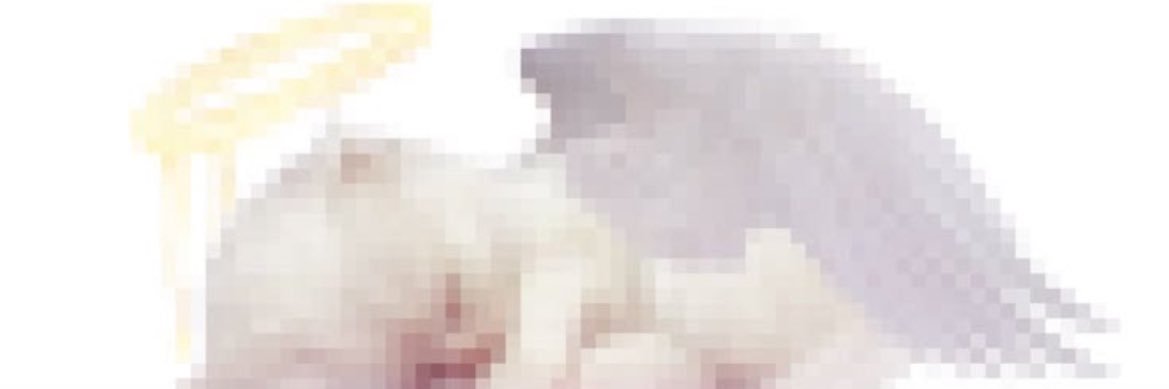 L0STGRLFOUND's profile banner image