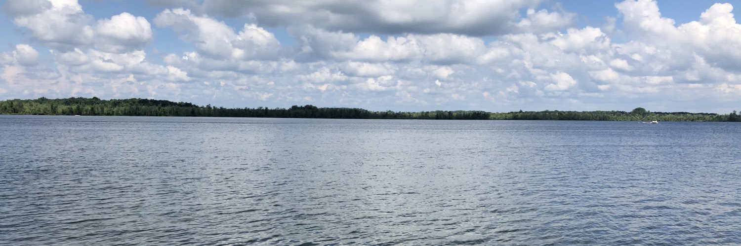 laur613's profile banner image