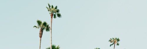 okayhailey's profile banner image