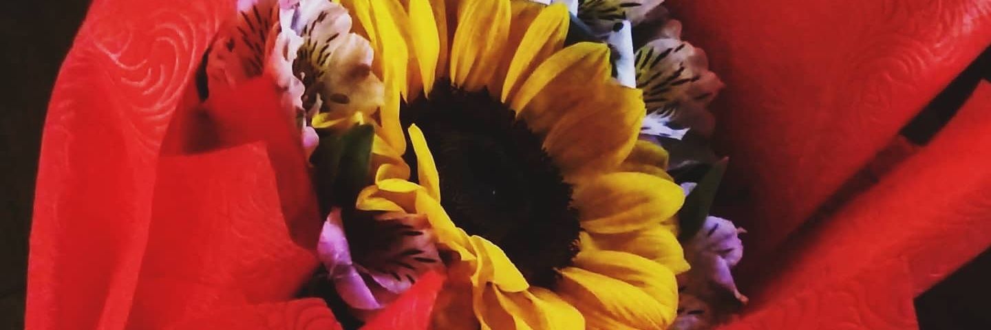 charlottypeyt's profile banner image