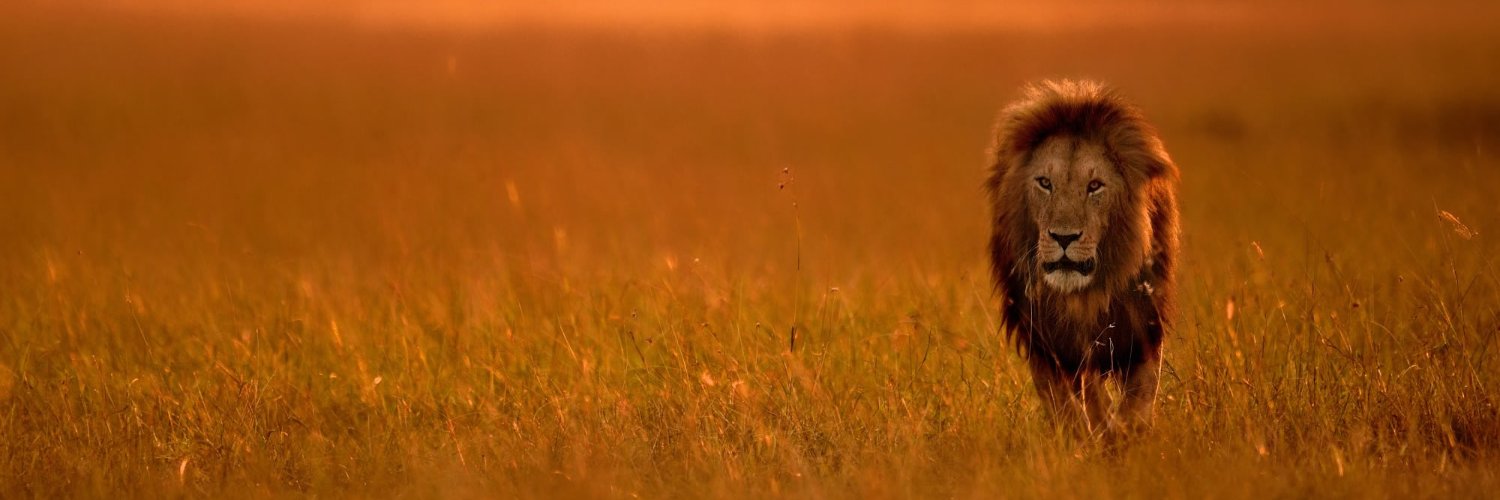 africanquest's profile banner image