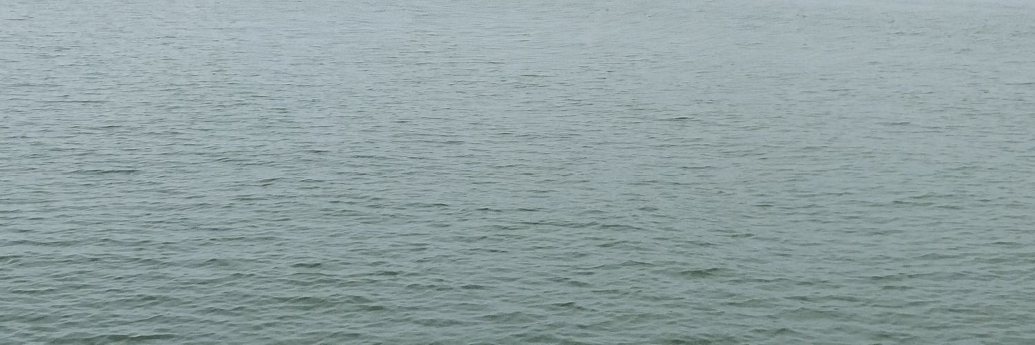 mengyan090804's profile banner image