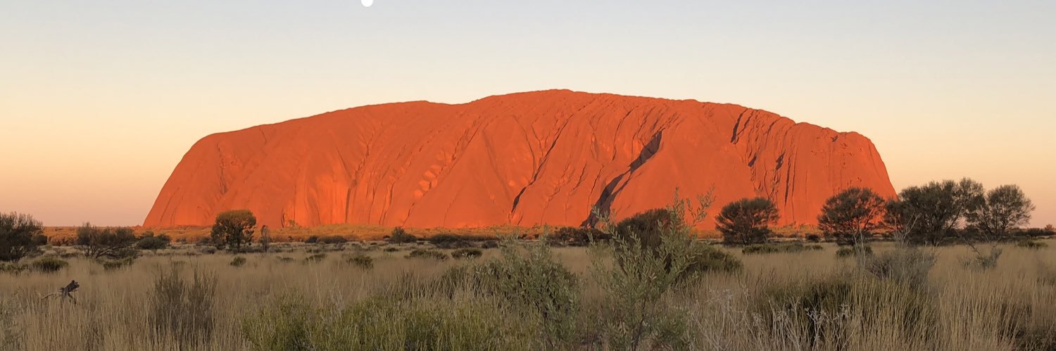 VolunteerHuman. banner