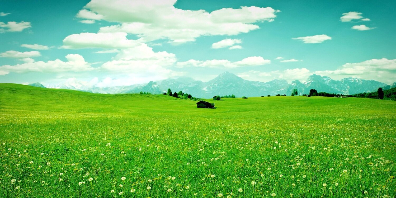 j_molano's profile banner image