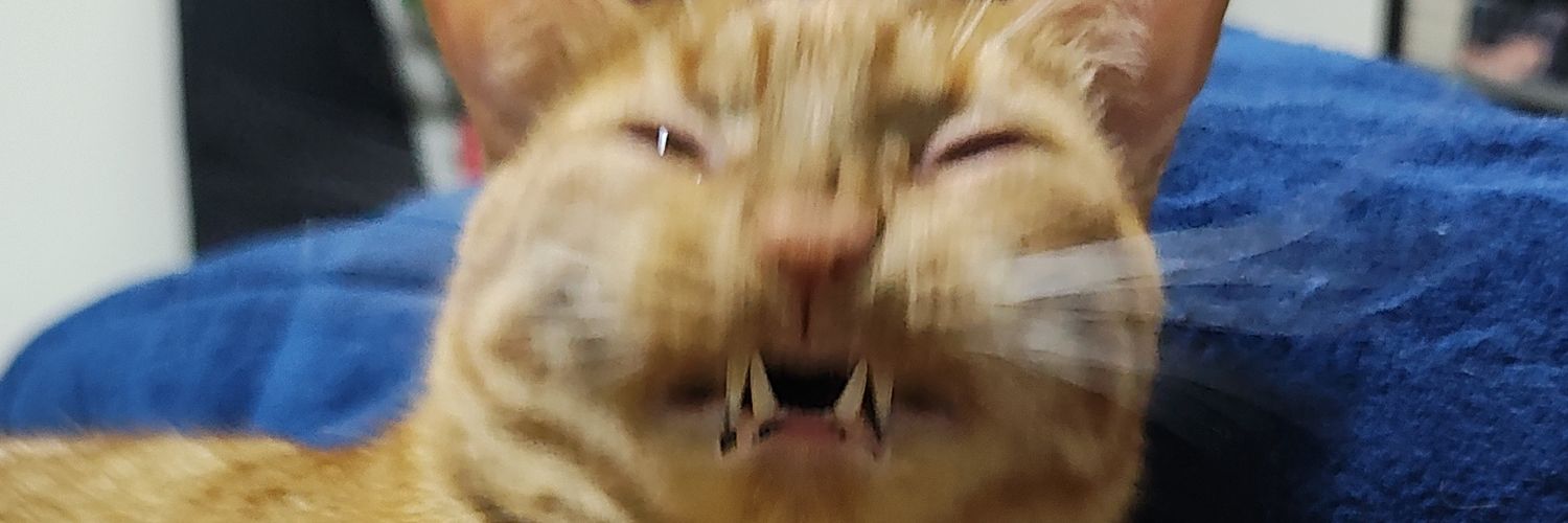 svpernavta's profile banner image
