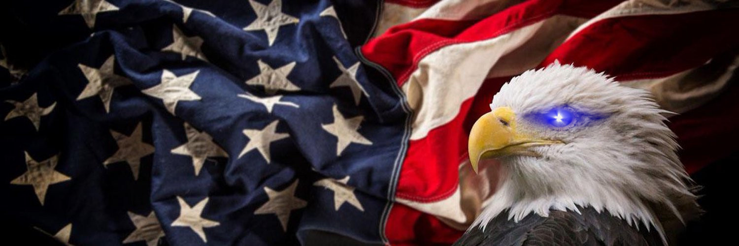 Matt Ferrante banner