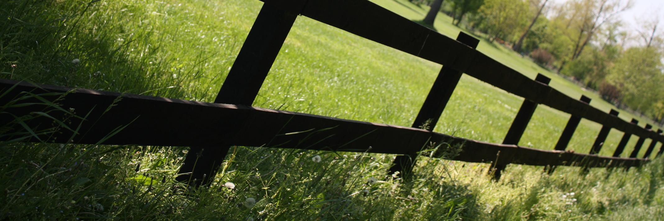 panteista's profile banner image