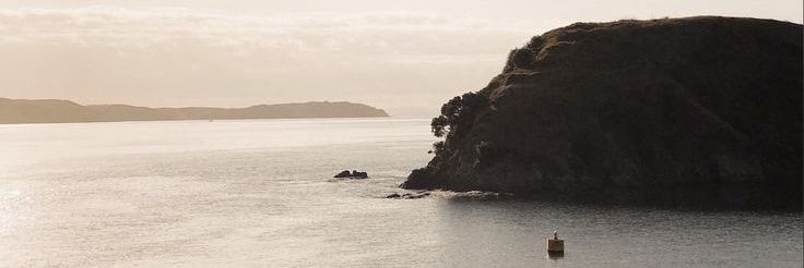 waterrmelionn banner