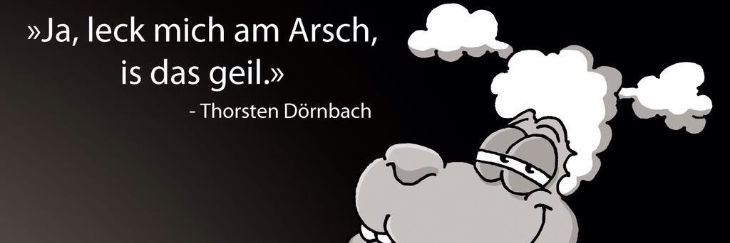 aSchauA's profile banner image