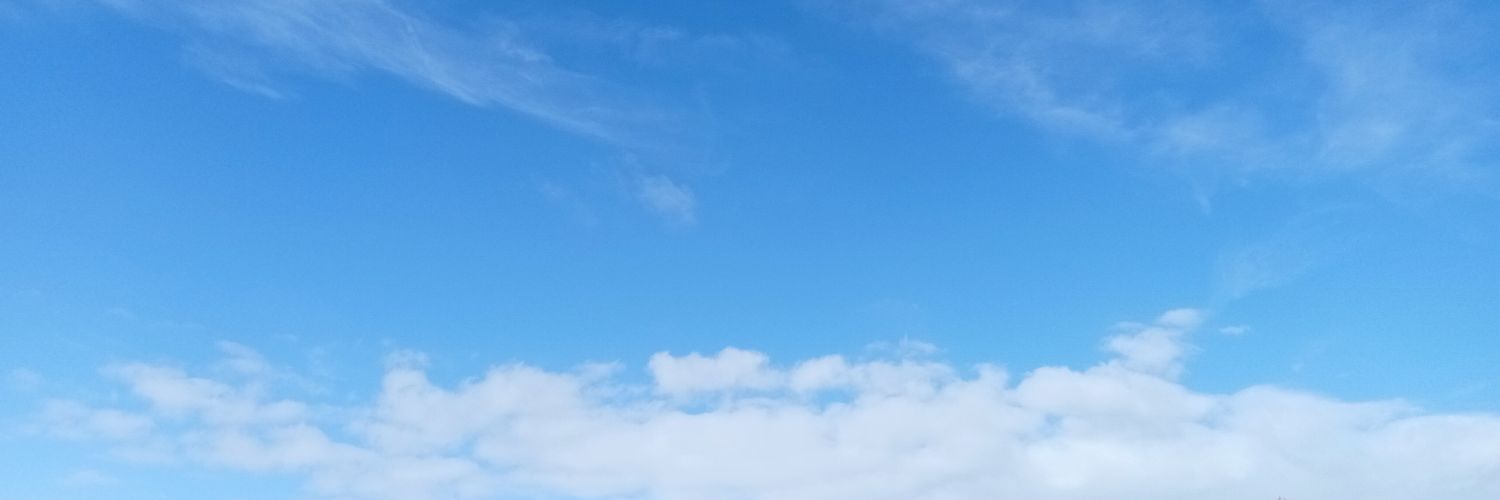 Victor banner