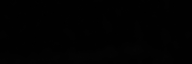 ion banner