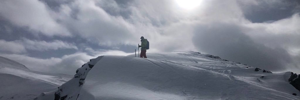 Mangled Capital banner
