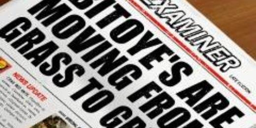 pmonsaw's profile banner image
