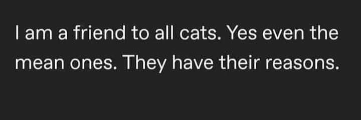 folleauxchats banner