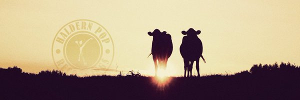 HaldernPopRec Profile Banner