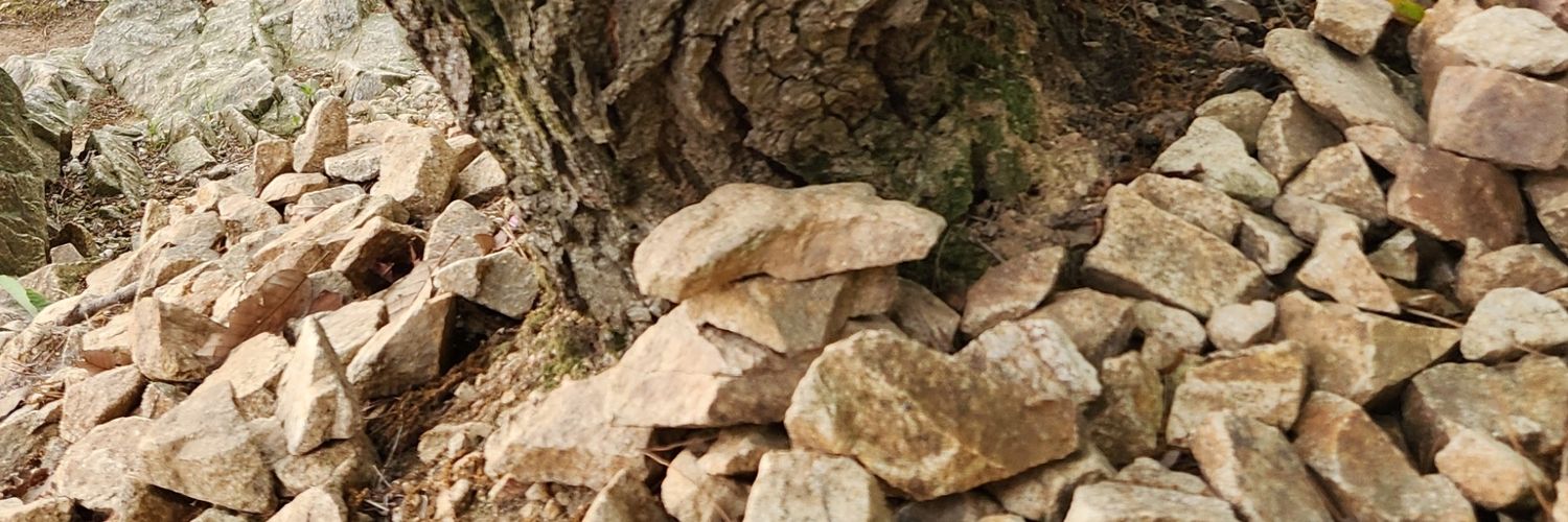 예전그달&Moon아님 banner