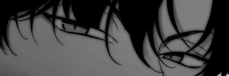 Auk banner