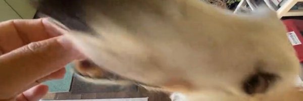 RICO98977 Profile Banner