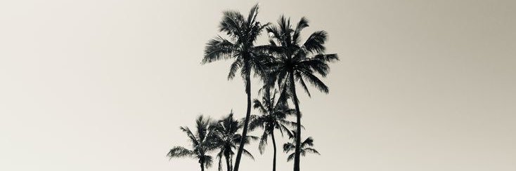 alter ego banner