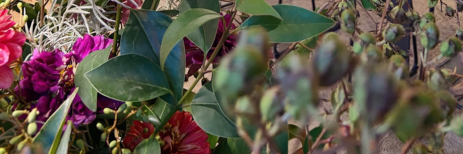 albaplana's profile banner image