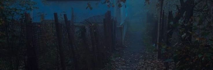 userkuu banner