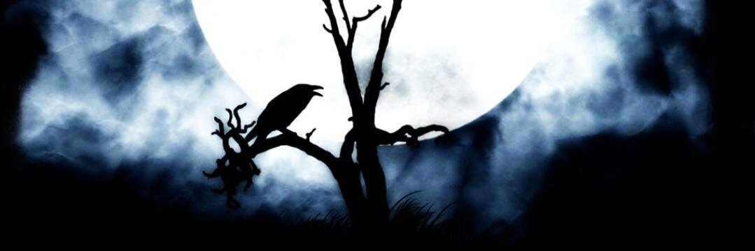kuerbo's profile banner image