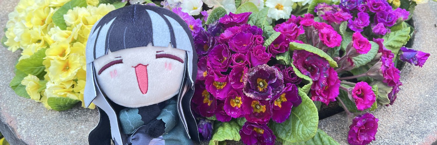 ROKI_CHIRORU's profile banner image