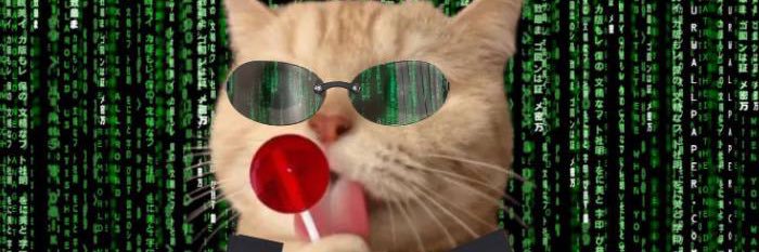 FISCHBENN 💹🧲 banner