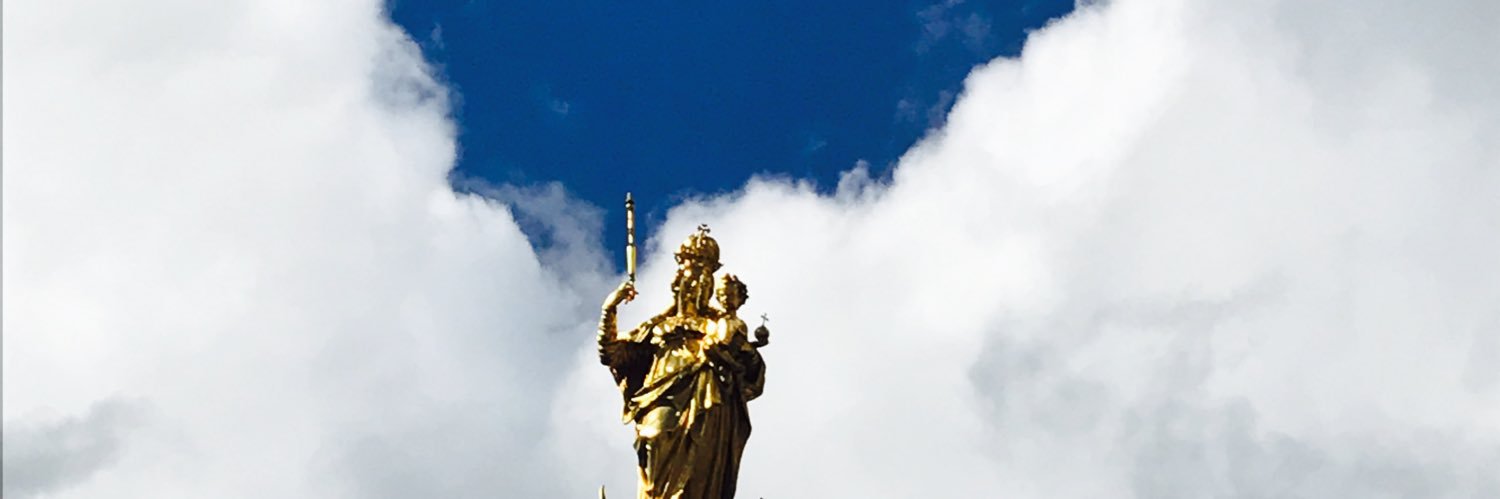 inflexibilis's profile banner image
