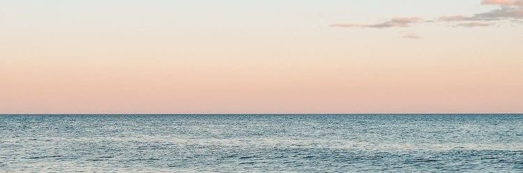 yangchanya's profile banner image