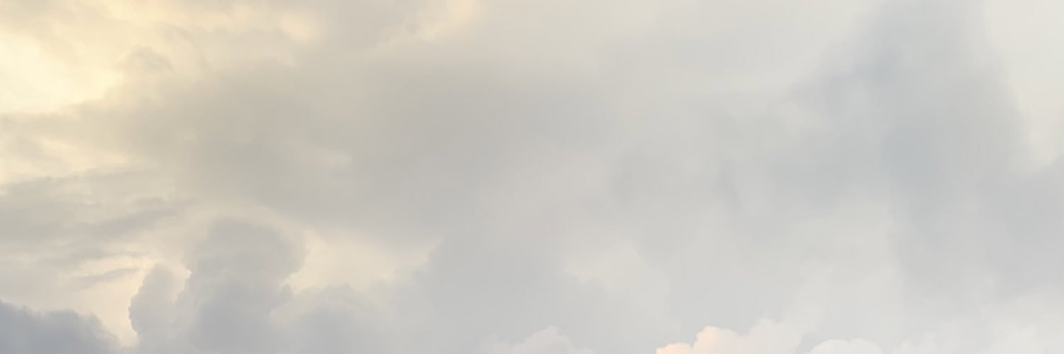 chechocita's profile banner image