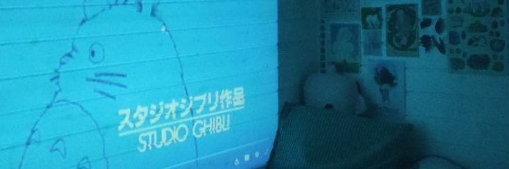 shenbunn's profile banner image