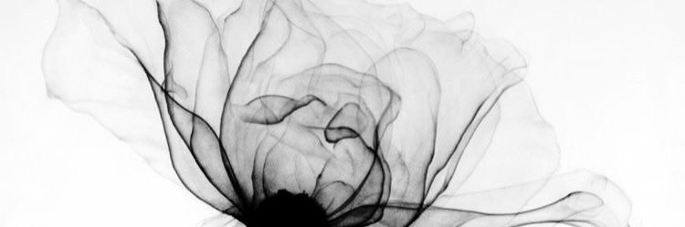 ᅠ ᅠ ᅠ ᅠ ᅠ ˗ˏᅠ 박정배 ゛ banner