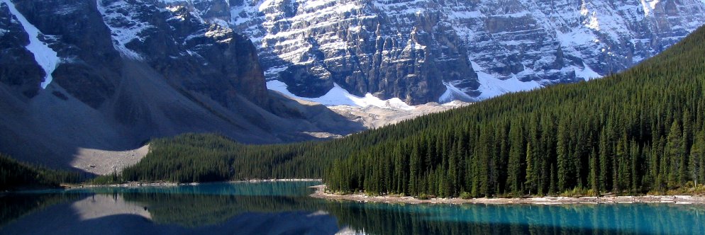 Dr. Elvis Z. Asong banner