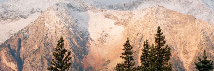jusery8942's profile banner image