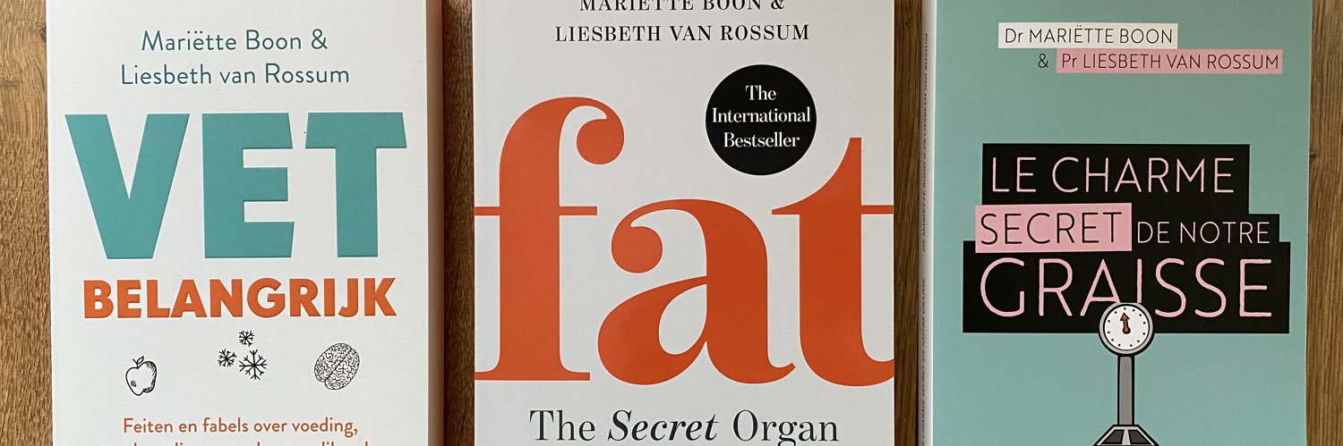 Liesbeth van Rossum banner