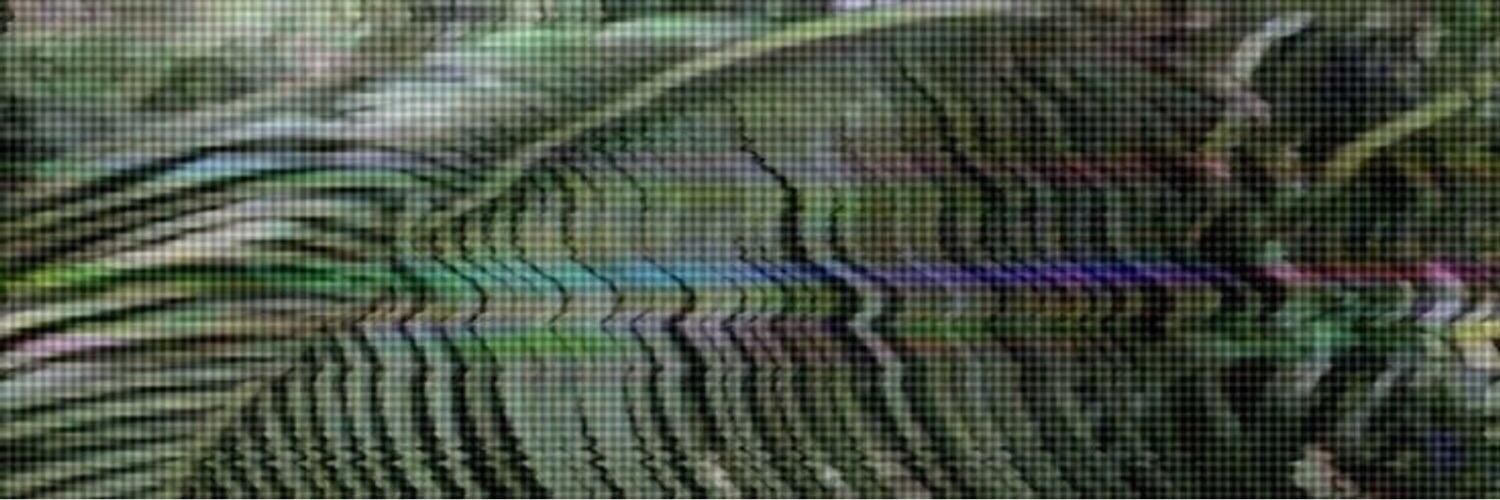 seqxually's profile banner image