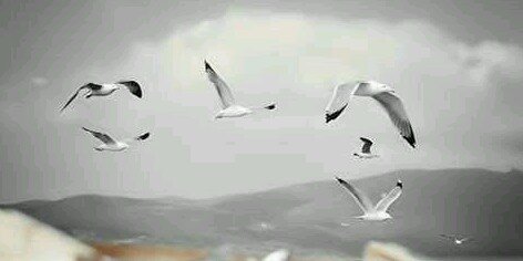 misalrem88's profile banner image